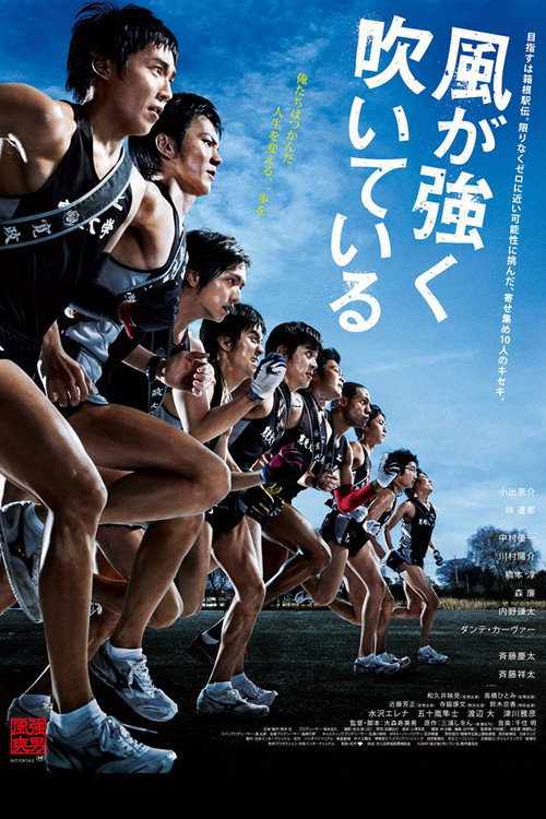 Run with the Wind