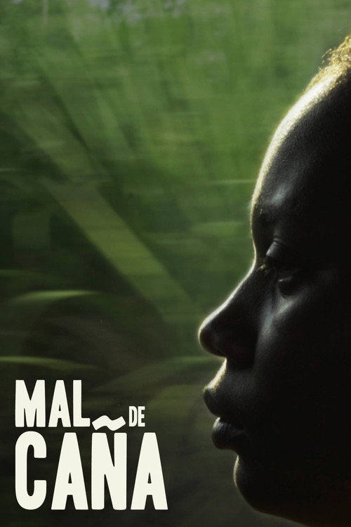 Cane Malice