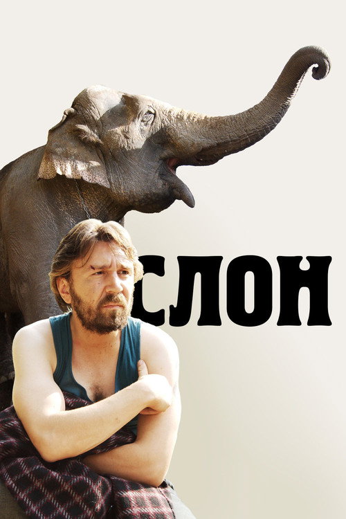 The Elephant