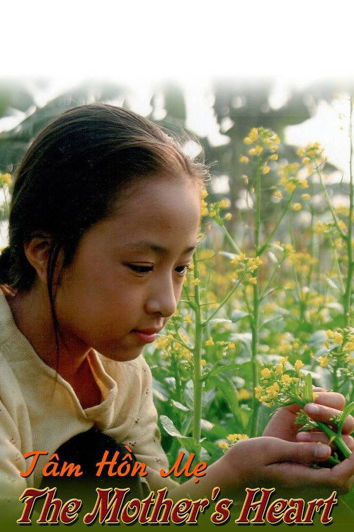 Tâm hồn me
