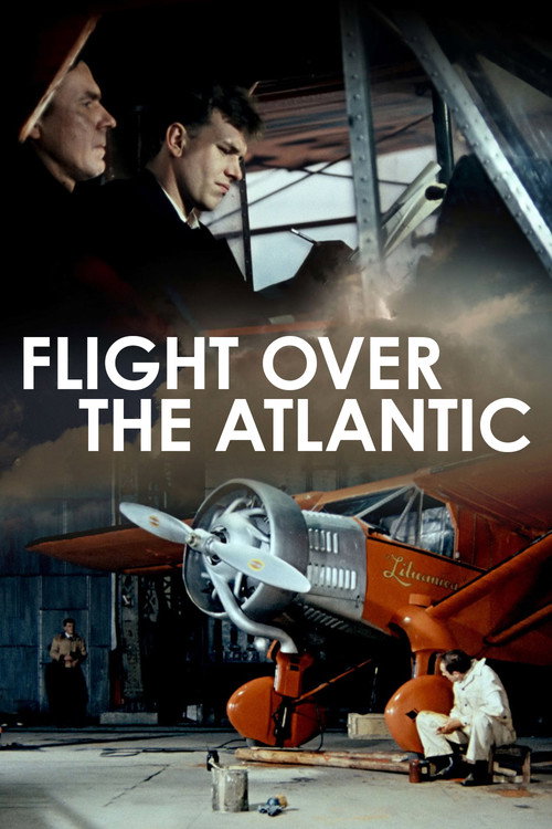 Flight During Atlantic Ocean
