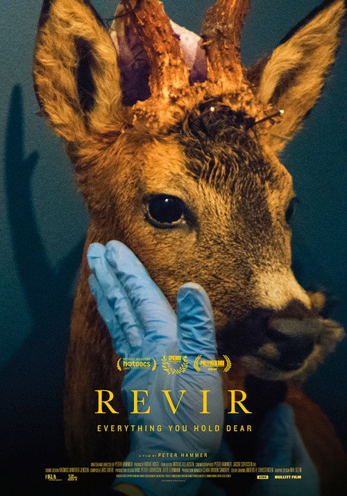 Revir -  Everything you hold dear