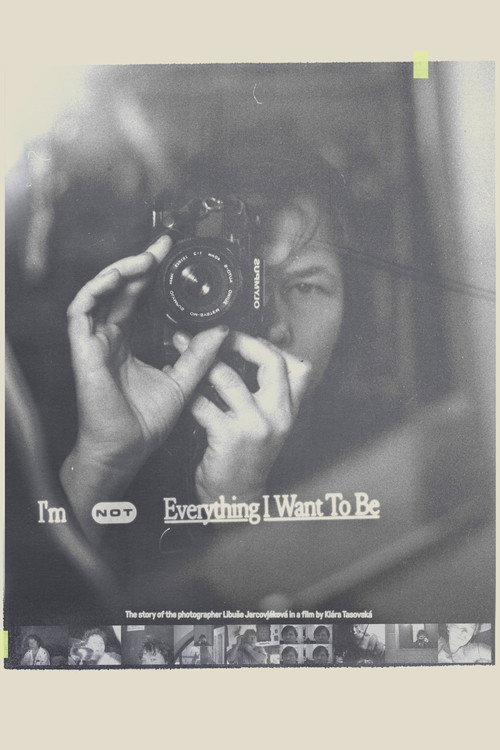 I’m not Everything I Want to Be
