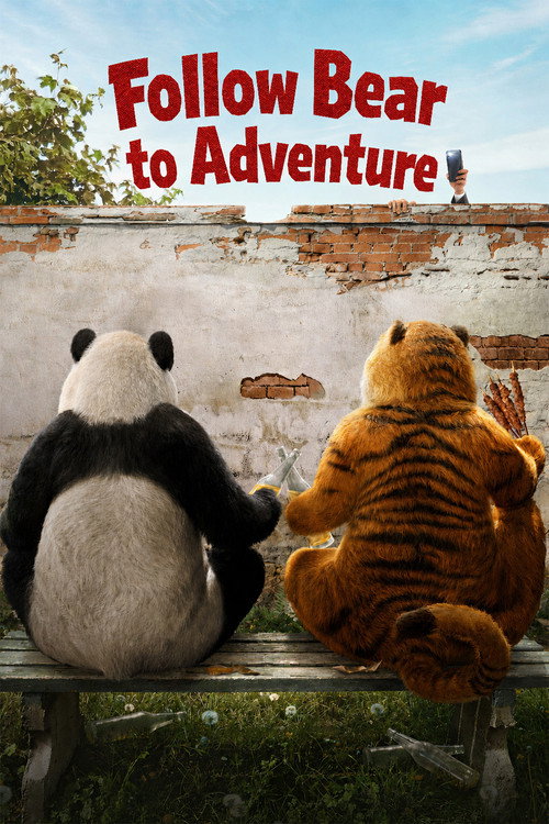 Follow Bear To Adventure