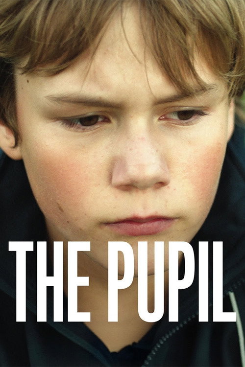 The pupil