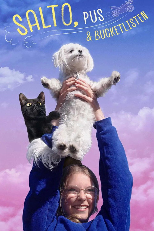 Small Dogs Bark Loud
