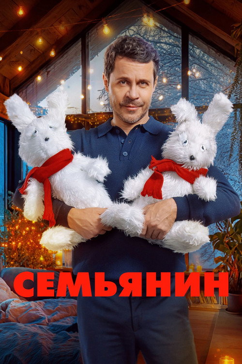 The Family Man (2025 film)
