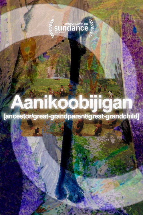 Aanikoobijigan