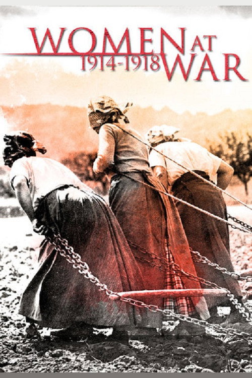 Elles étaient en guerre 1914-1918