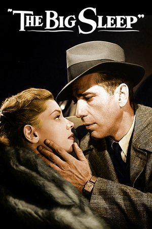 The Big Sleep - TopStrem