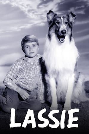 Lassie - TopStrem