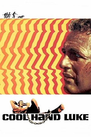 Cool Hand Luke - TopStrem