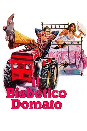 Il bisbetico domato - TopStrem