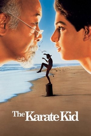 Karate Kid - TopStrem