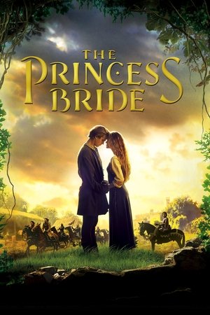 A Princesa Prometida - TopStrem