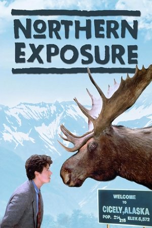 Doctor en Alaska - TopStrem