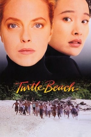 Praia dos Sonhos - TopStrem