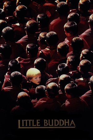 Little Buddha - TopStrem
