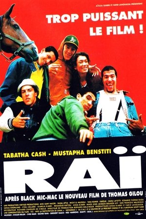 Raï - TopStrem