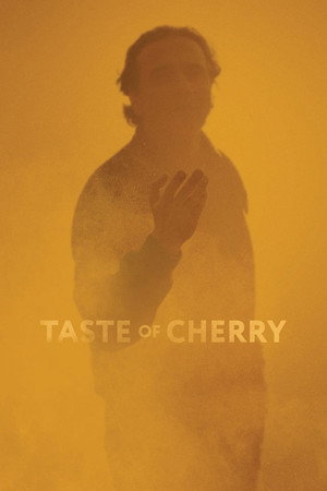 El sabor de las cerezas - TopStrem