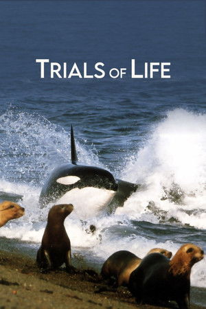The Trials of Life