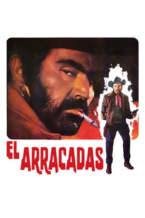 El Arracadas - TopStrem