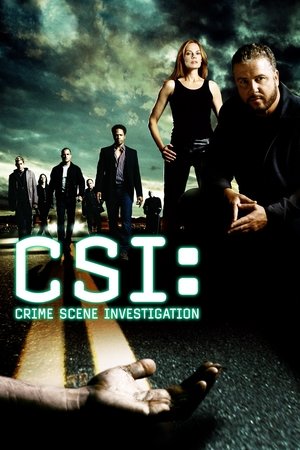 CSI - Den Tätern auf der Spur - TopStrem