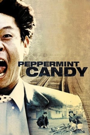 Peppermint Candy - TopStrem