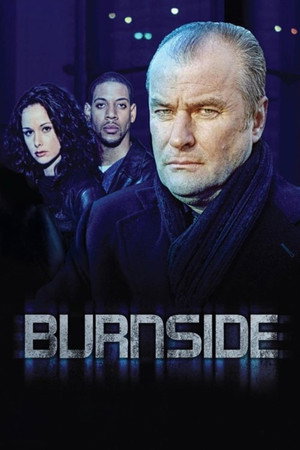 Poster Inspectorul Burnside
