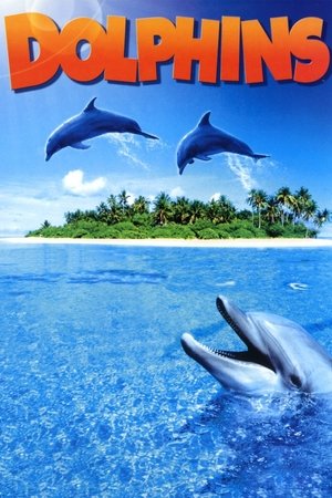 Dolphins - TopStrem