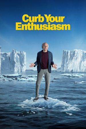 Curb Your Enthusiasm - TopStrem