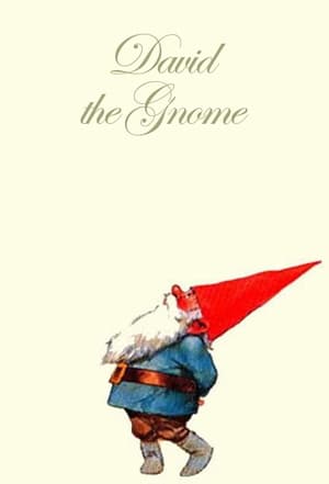David, el gnomo - TopStrem
