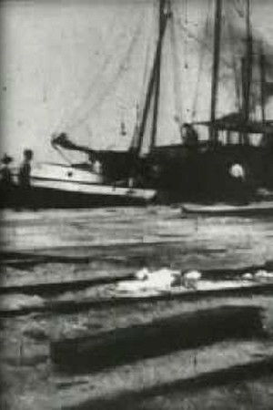 Bird's-Eye View of Dock Front, Galveston