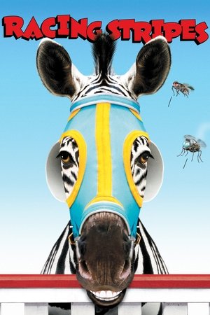 Striscia, una zebra alla riscossa - TopStrem
