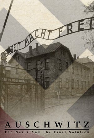Auschwitz: nascita, storia e segreti di un incubo - TopStrem
