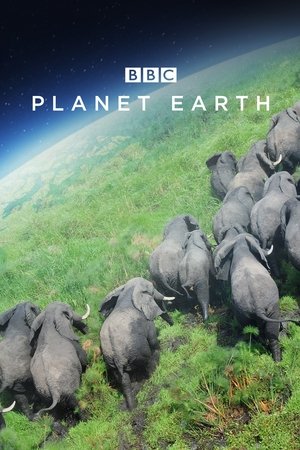 Planet Erde - TopStrem