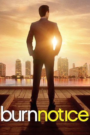 Burn Notice - TopStrem