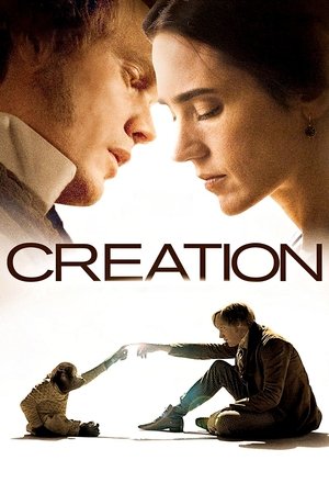 Creation - TopStrem