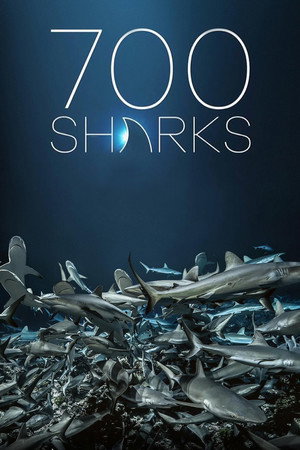 700 Haie in der Nacht - TopStrem