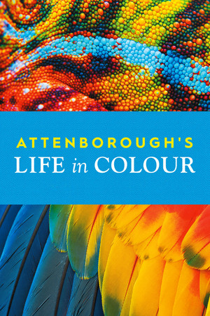 Das Leben in Farbe mit David Attenborough - TopStrem