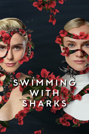 Swimming with Sharks - TopStrem