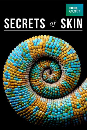 Poster Secrets of Skin