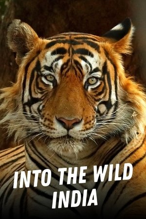 Into the Wild: India - TopStrem