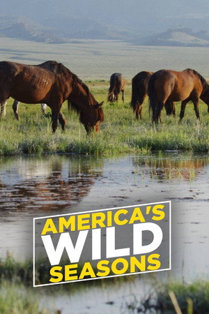 America's Wild Seasons - TopStrem