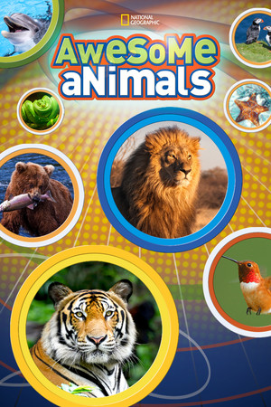 Poster Awesome Animals