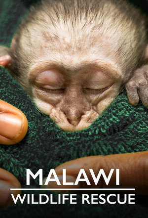Malawi Wildlife-Rescue - TopStrem