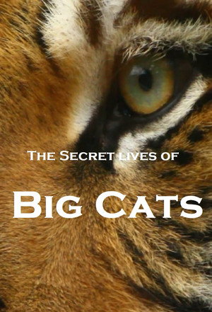 The Secret Lives Of Big Cats - TopStrem