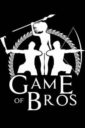 Poster Game of Bros
