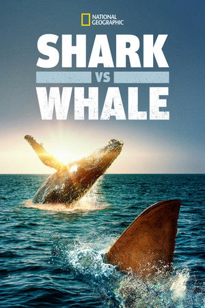 Shark Vs. Whale - TopStrem