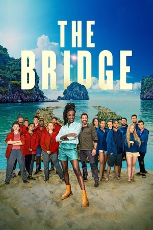Poster The Bridge